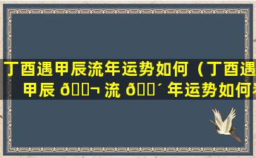 丁酉遇甲辰流年运势如何（丁酉遇甲辰 🐬 流 🌴 年运势如何看）